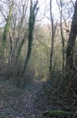 Bois Les Campagnons (GR25d)